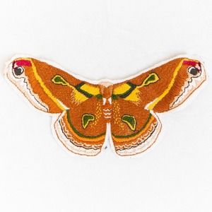 Meet your Posher, Deborah